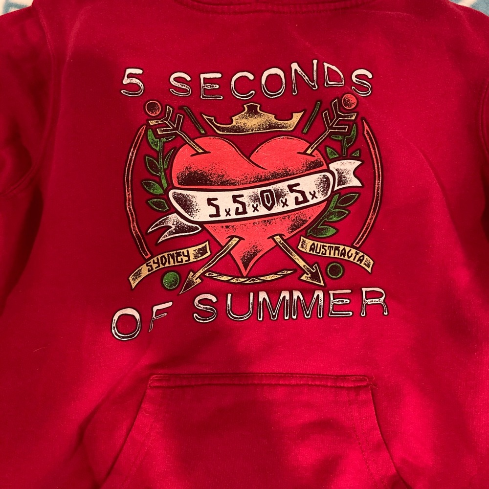 5SOS hoodie